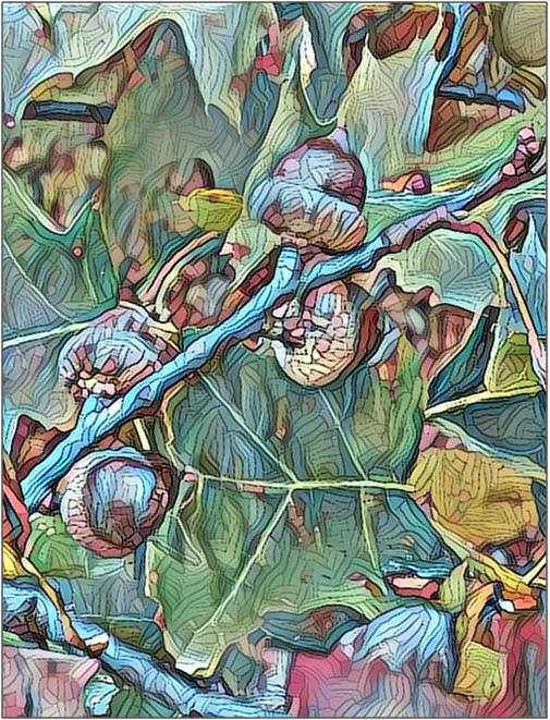 Enjoy Coloring Free Printable Pages: Fall Acorns, by Don Berg at TodaysArts.net