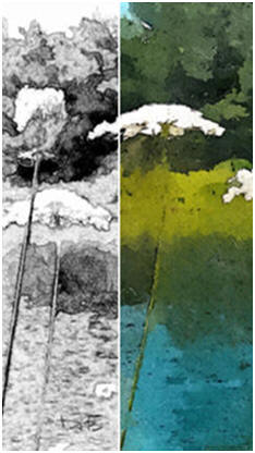 Beach Lace - Free Sketch and Coloring Suggestions at TodaysArts.net