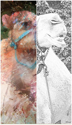 Get free, downloadable art and coloring shetches at TodaysArts.net.