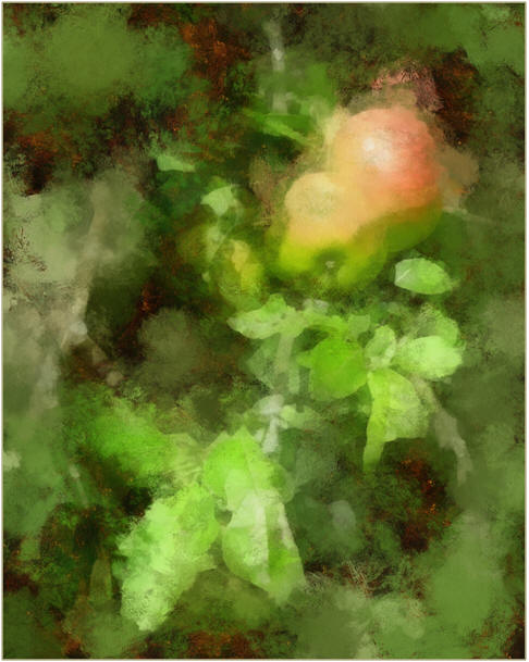 Practice your art. Try new techniques the easy way. Download free sketches at TodaysArts.com and use them to follow free lessons on watercoloring, pastels, oil and acrylic painting and more.
