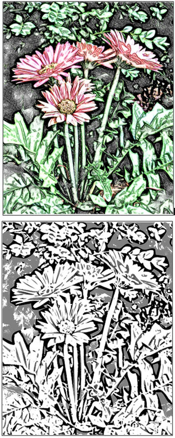 DIY Garden Flowers - Get a Free Printable Coloring or Watercolor Page