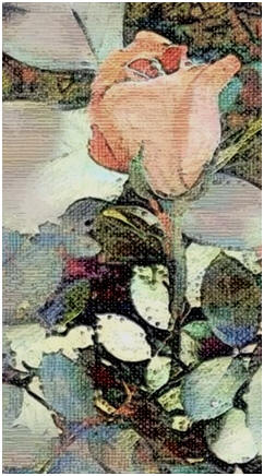 Get Free Printable Coloring Sketches of this Garden Rose at TodaysArts.net