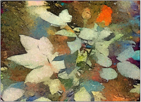 Create your own easy artwork with pencils, watercolors, paints or pastels. Order seven different Garden Rose Artists' Shetches for $9.95 at Etsy.