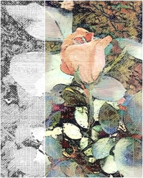 Enjoy coloring? Here's a free and easy-to-use sketch of a pretty rose that's waiting for your creative touch.