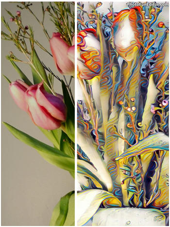Pop your photos to create gifts, posters, wall art or bright, bold blog illustrations. Try free, easy-to-use effects at PhotoFunEditor.com