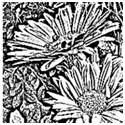 Old-Time Engravings from Your Photos