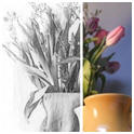 Convert Your Photos and Snapshots into Digital Drawings