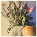 Convert Your Photos to Sepia Drawings