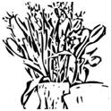 DY Woodcut Illustration from Your Photo