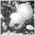 Convert your photos into digital pen and ink renderings.