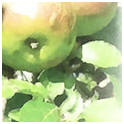Convert Your Photos to Watercolors Online and For Free