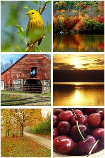 Free reference photographs for artists and illustrators � Check out MorgueFile for an amazing selection of top quality photographs that you can use for inspiration for your creative projects. (Images: A few samples of the hundreds and hundreds of beautiful scenes available on MorgueFile.com)