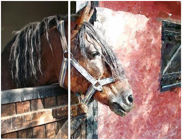 Do you need great images for your blog, hobby or art projects? You can choose from over 420,000 beautiful, free, public domain photographs with the easy search box at Pixbay.com ( Image: Pixabay photo by LiveInLondon and a painted version by FotoSketcher.com )