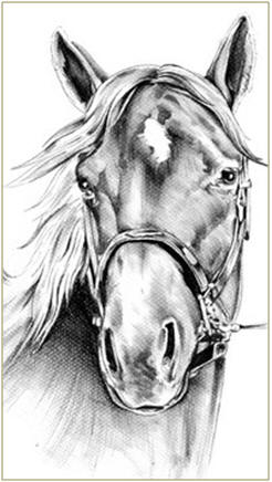 Improve Your Drawing Skills. Choose from hundreds of free, DIY online lessons that you'll find listed at TodaysArts.net