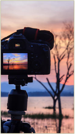 Free Beginner Photography Lessons - Choose from hundreds of great lessons, how-tos and demonstrations on how to improve all of your photos.