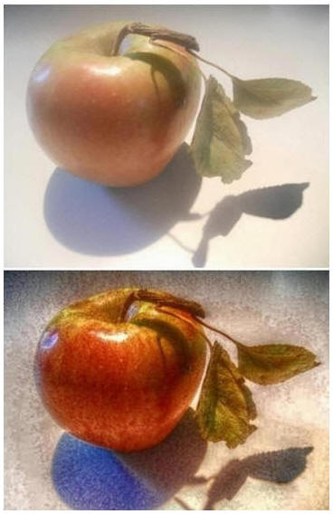 Create a DIY Photo Painting from Any Snapshot - Learn how to turn any digital photo or camera phone shot into something much more interesting. Add an old master style painted effect, in five minutes or less, without Photoshop, Instagram or a drop of paint. Try it. Youll be amazed. Its fast, free and fun.