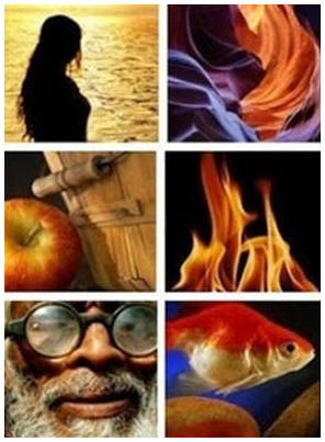 Learn How To Photograph Everything at Learn My Shot    Click through to follow any of more than one hundred, top quality, free video lessons on all aspects of fine photography. (Photo Collage: Sample Photographs from LearnMyShot.com)