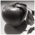 Easy Black & White Images from Your Color Snapshots