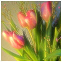 Edit Your Photos Online, for Free at PicMagick.com