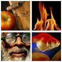If you're serious about taking better photographs, you need to visit LearnMyShot.com. 