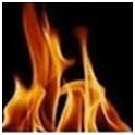 Learn How to Photograph Anything - Watch free video demondtrations at LearnMyShot.com