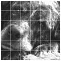 Learn how to transfer any image to canvas, paper or art board using the Grid Method. Check out the easy, free lesson at Learn-to-Draw-Lessons.com