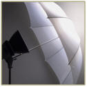 Learn how to use sunlight, flash and studio lighting to capture perfect photographs. 