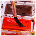 Start painting with watercolors with the help of free lessons and how-to demonstrations.