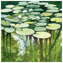 Free intermediate level lessons for watercolor painters.