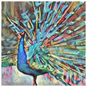 A Preening Peacock - Free, DIY Coloring Pages